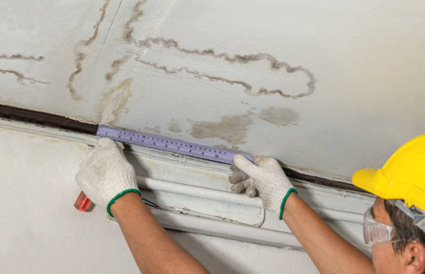 Reliable Mold Remediation contractor in Genesee, CO by Water Damage Irwin